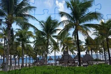 palmeral jigsaw puzzle