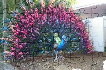 FLORES jigsaw puzzle