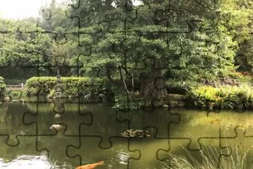 Japanese Teaâ€™s garden