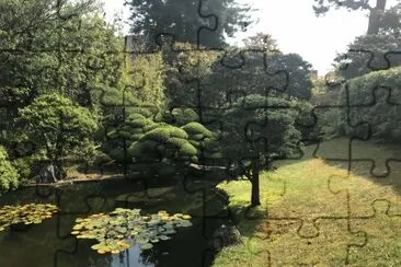 Japanese Teaâ€™s garden