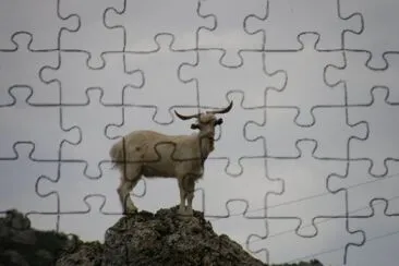 sempre piÃ¹ in alto jigsaw puzzle