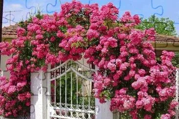imagem jigsaw puzzle