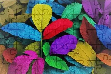213 jigsaw puzzle