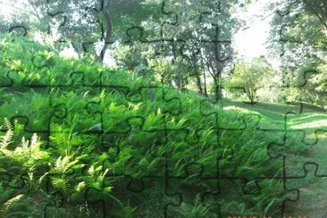 פאזל של PARCO BELLONE