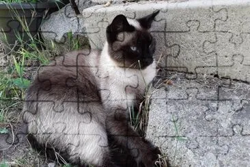 Mia jigsaw puzzle