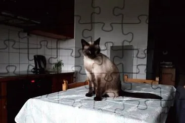 mia jigsaw puzzle