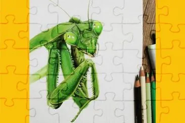 æ¾³æ´²è‰²é‰›ç­†ç•«å®¶Chloe O 'Shea jigsaw puzzle