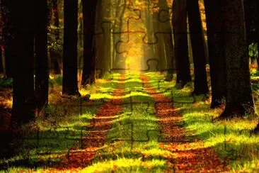 Bosque jigsaw puzzle