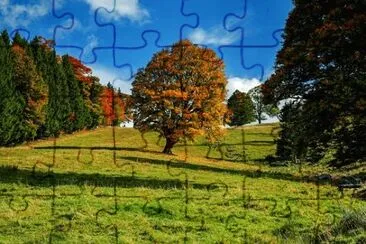 Paisagem jigsaw puzzle