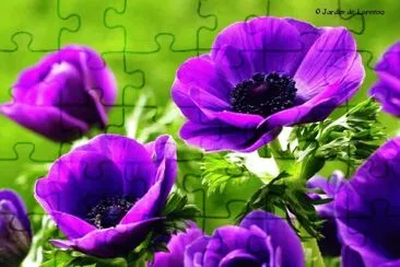 imagem jigsaw puzzle