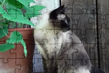 Mia jigsaw puzzle