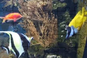 Sea Life - London jigsaw puzzle