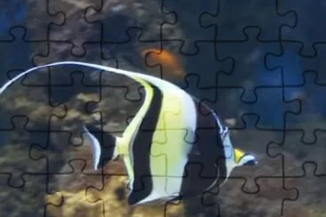 Sea Life2 - London jigsaw puzzle