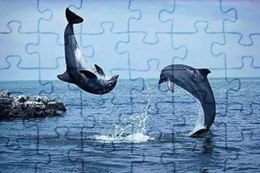 imagem jigsaw puzzle