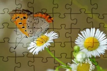 imagem jigsaw puzzle