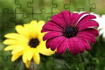è—çœ¼èŠ jigsaw puzzle