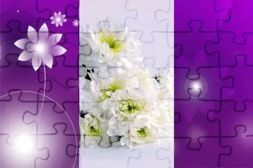é›™èŠ±åœ–