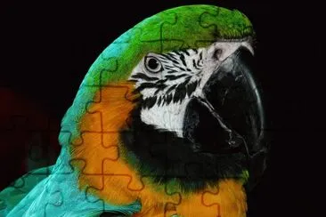 Arara jigsaw puzzle