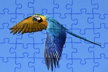 Arara jigsaw puzzle