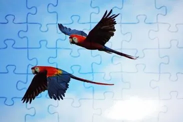 Araras jigsaw puzzle