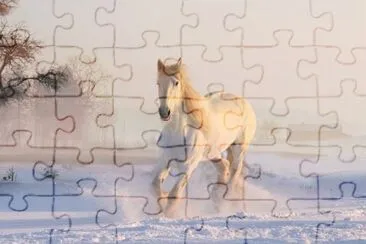 neve jigsaw puzzle
