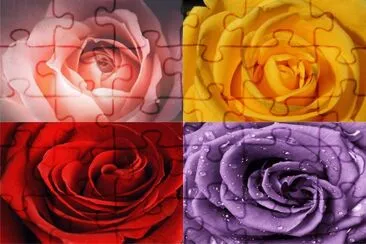 çŽ«ç‘°èŠ± jigsaw puzzle