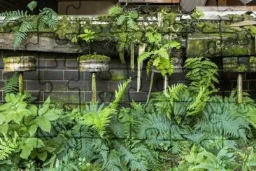 Nature Reclaimed - Croatian Bar jigsaw puzzle