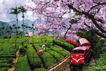 ä¸­åœ‹å°ç£å˜‰ç¾©é˜¿é‡Œå±±å°ç«è»Š