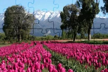 paisaje jigsaw puzzle
