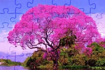 imagem jigsaw puzzle