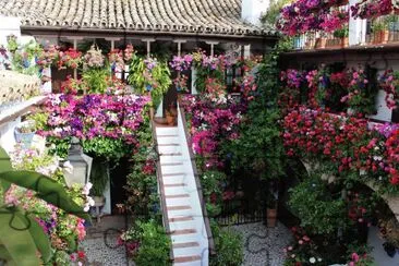 flores jigsaw puzzle