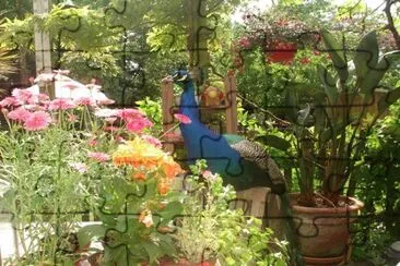 flores