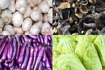 ä¸åŒé¡è‰²è”¬èœ
