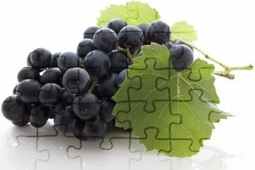 Raisins jigsaw puzzle