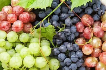 Raisins jigsaw puzzle