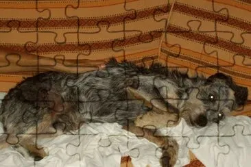 macchiolone wounded jigsaw puzzle