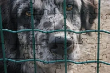 athos jigsaw puzzle
