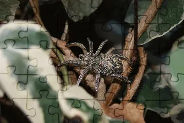 spider jigsaw puzzle
