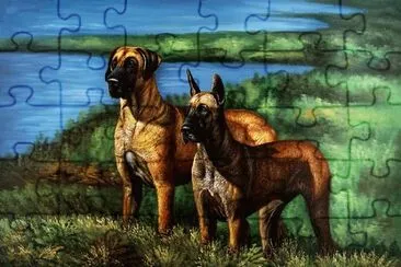פאזל של PERROS