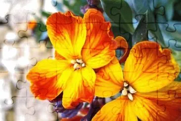 GiroflÄ—e jigsaw puzzle