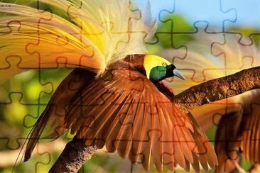 173