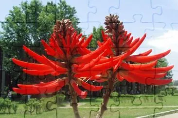 Arbre corail jigsaw puzzle
