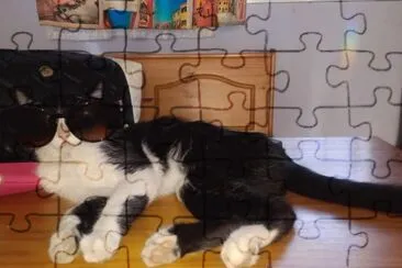 Floky jigsaw puzzle