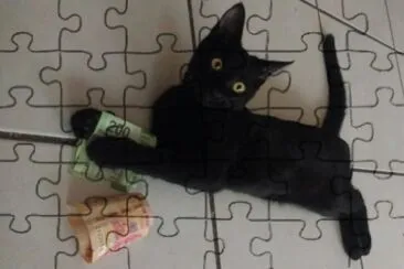 Anubis Argent jigsaw puzzle