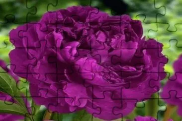 imagem jigsaw puzzle
