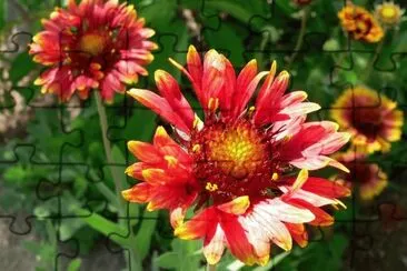 Gaillarde jigsaw puzzle