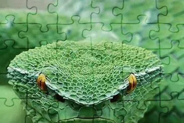 big green one