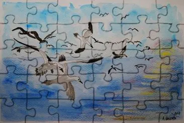 gabbiani jigsaw puzzle