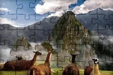 LLAMAS