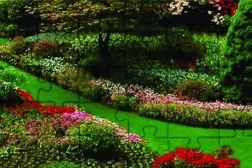 6 jigsaw puzzle